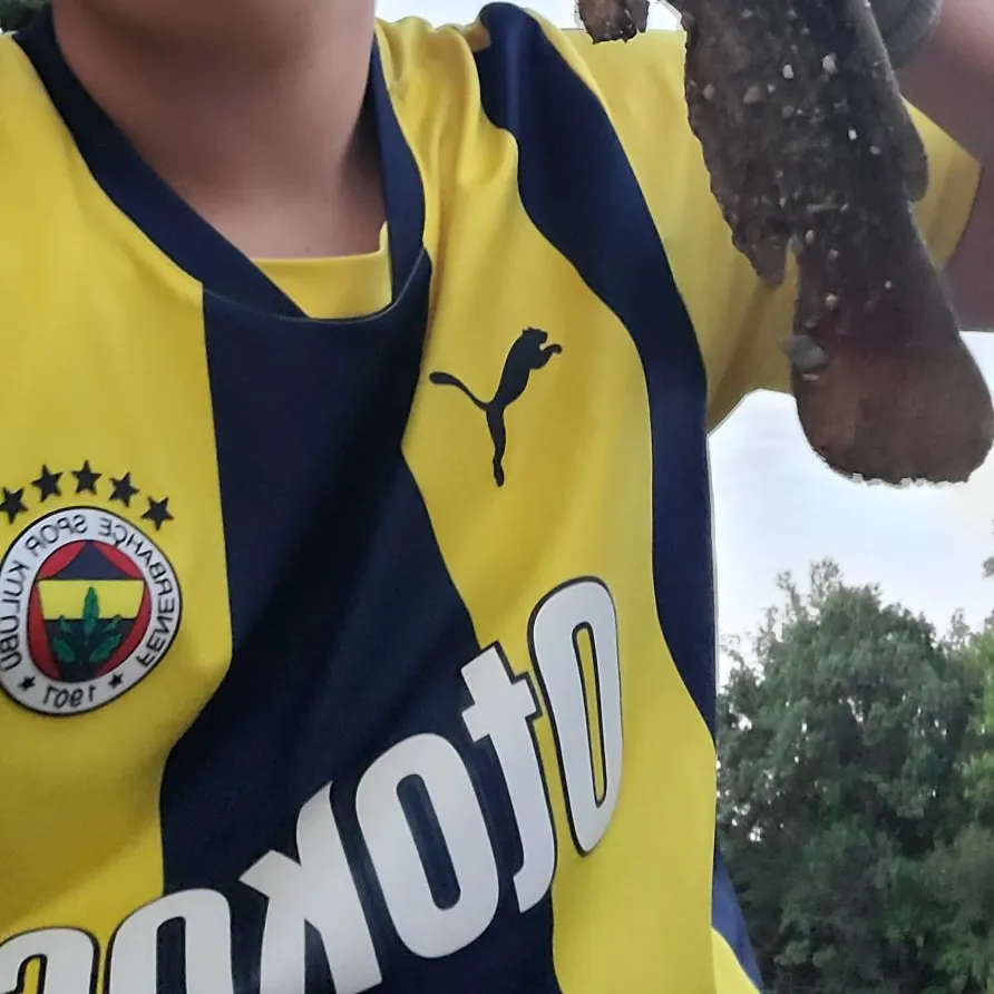Cobia caught on Fishbrain