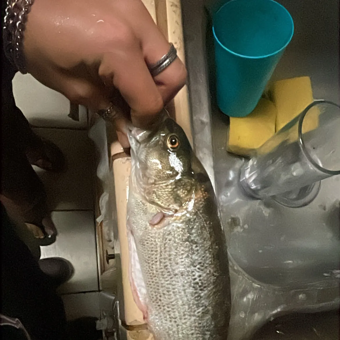 catch