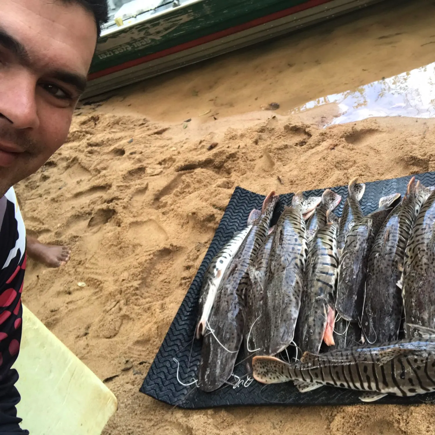 recently logged catches