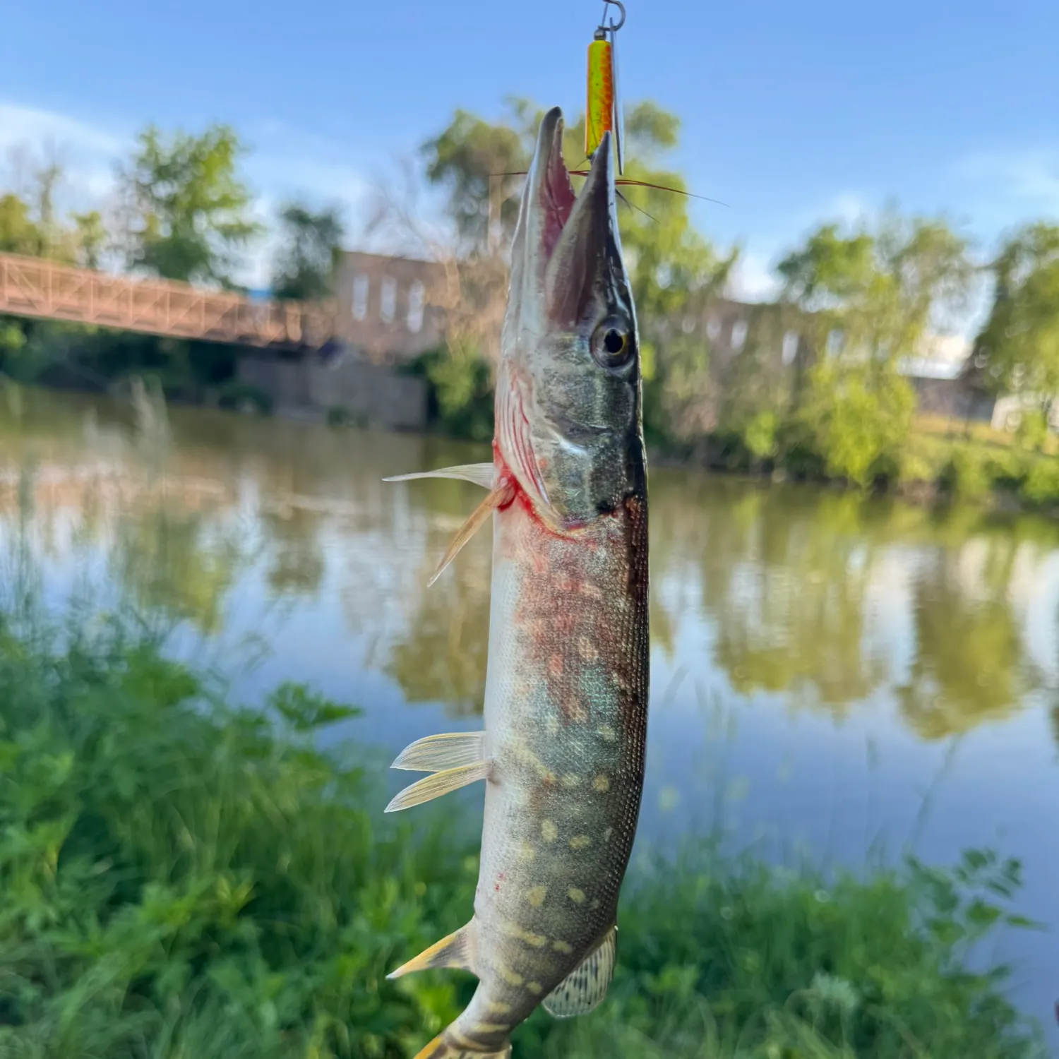 catch