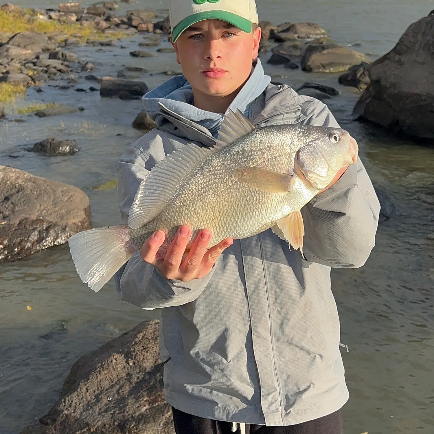 Freshwater drum caught on Fishbrain