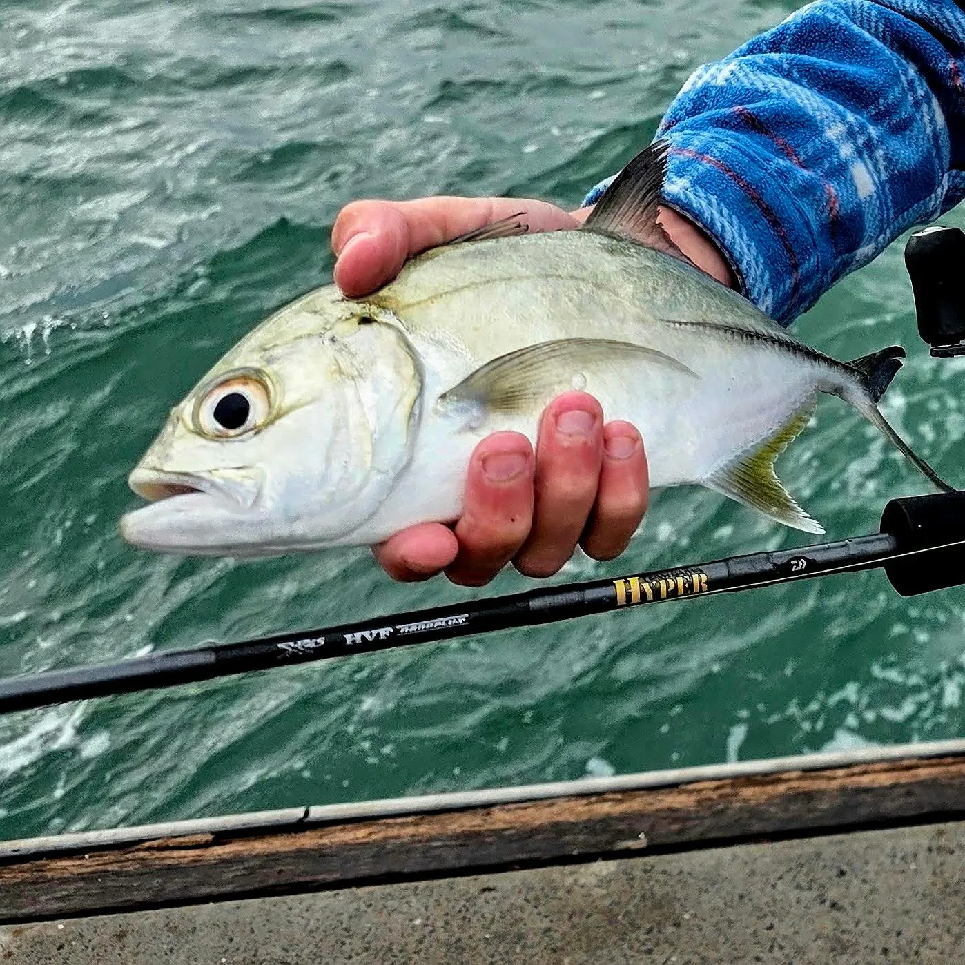 The most recent Bigeye trevally catches on Fishbrain