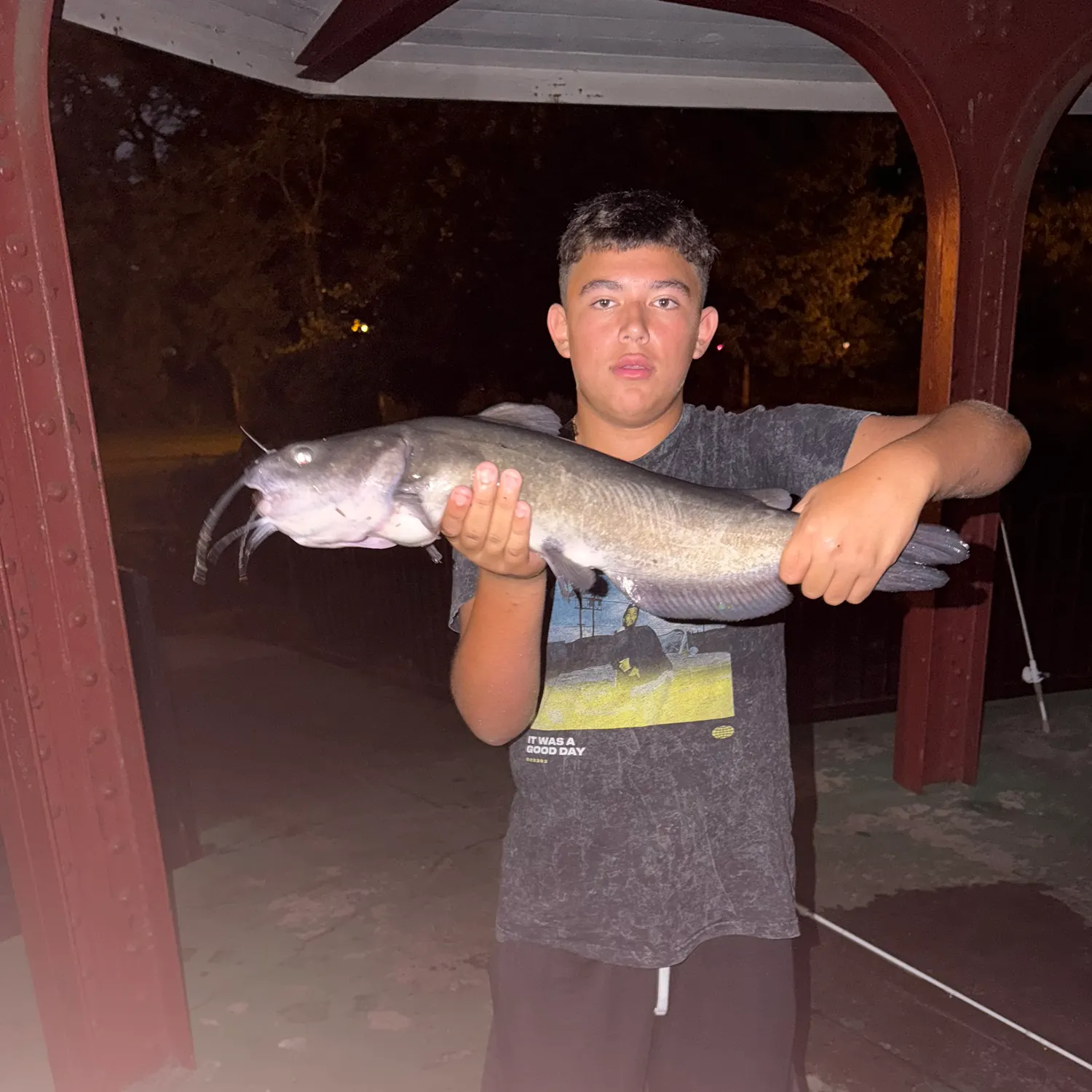 Channel catfish caught on Fishbrain