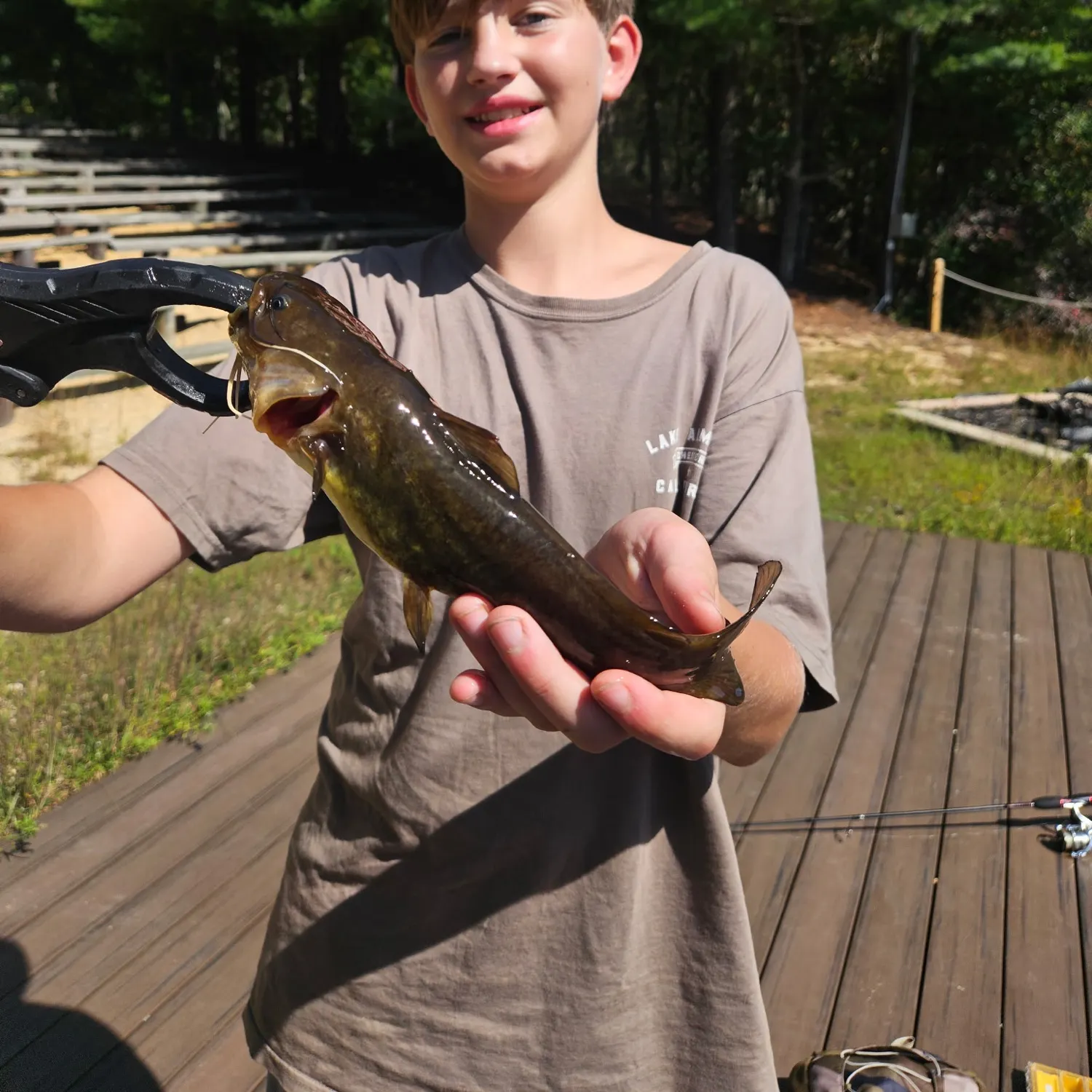 Black bullhead caught on Fishbrain