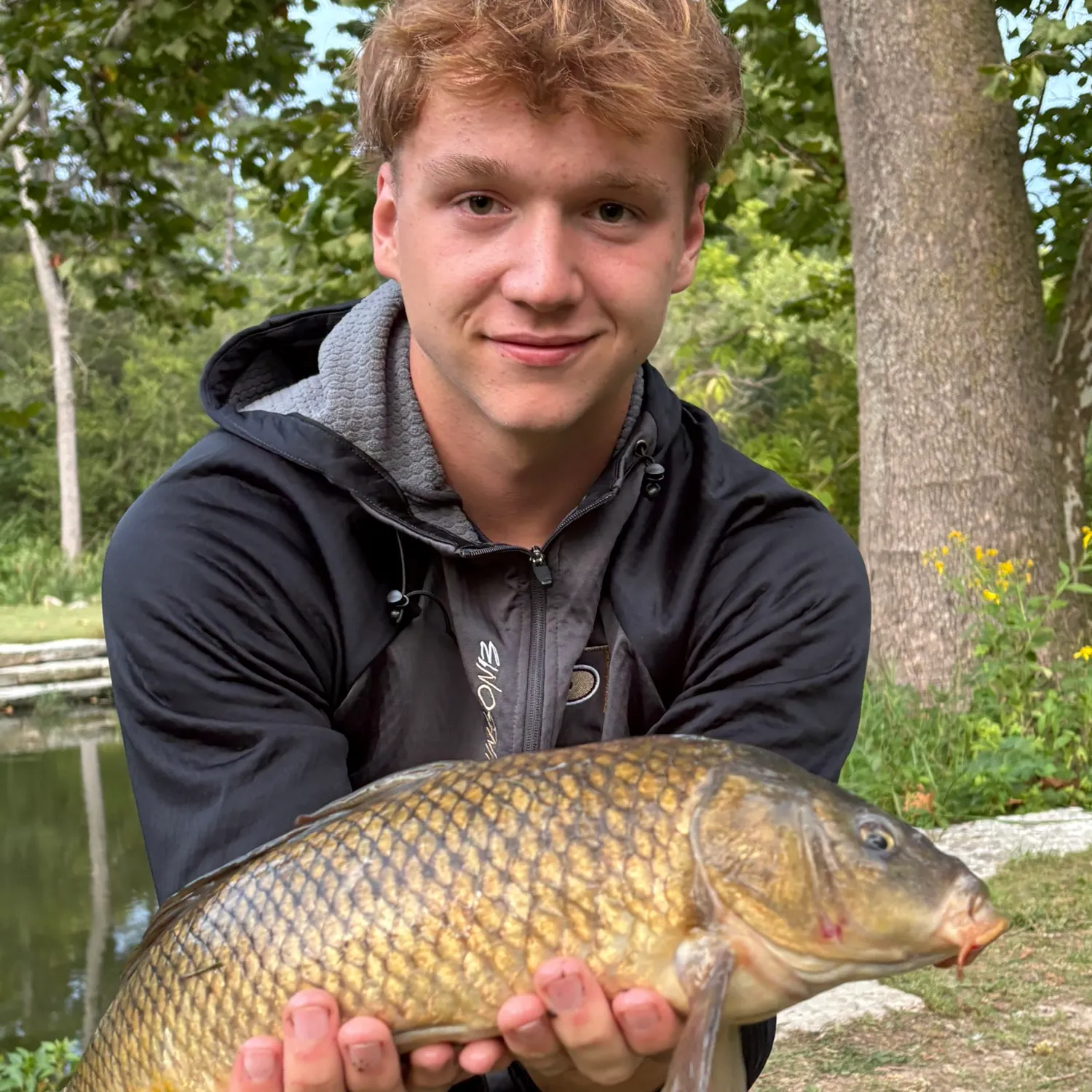 Common carp caught on Fishbrain