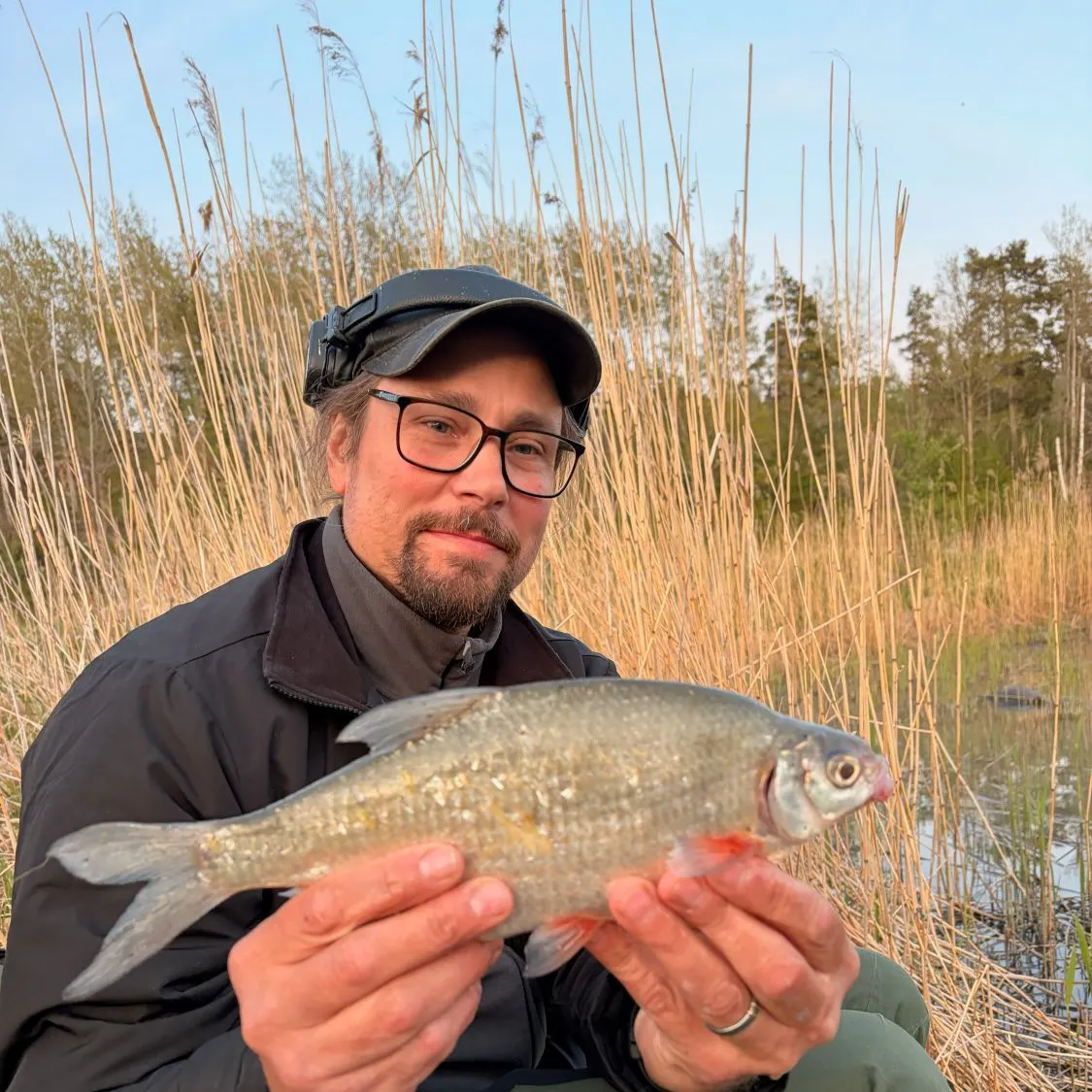 The most recent White bream catches on Fishbrain