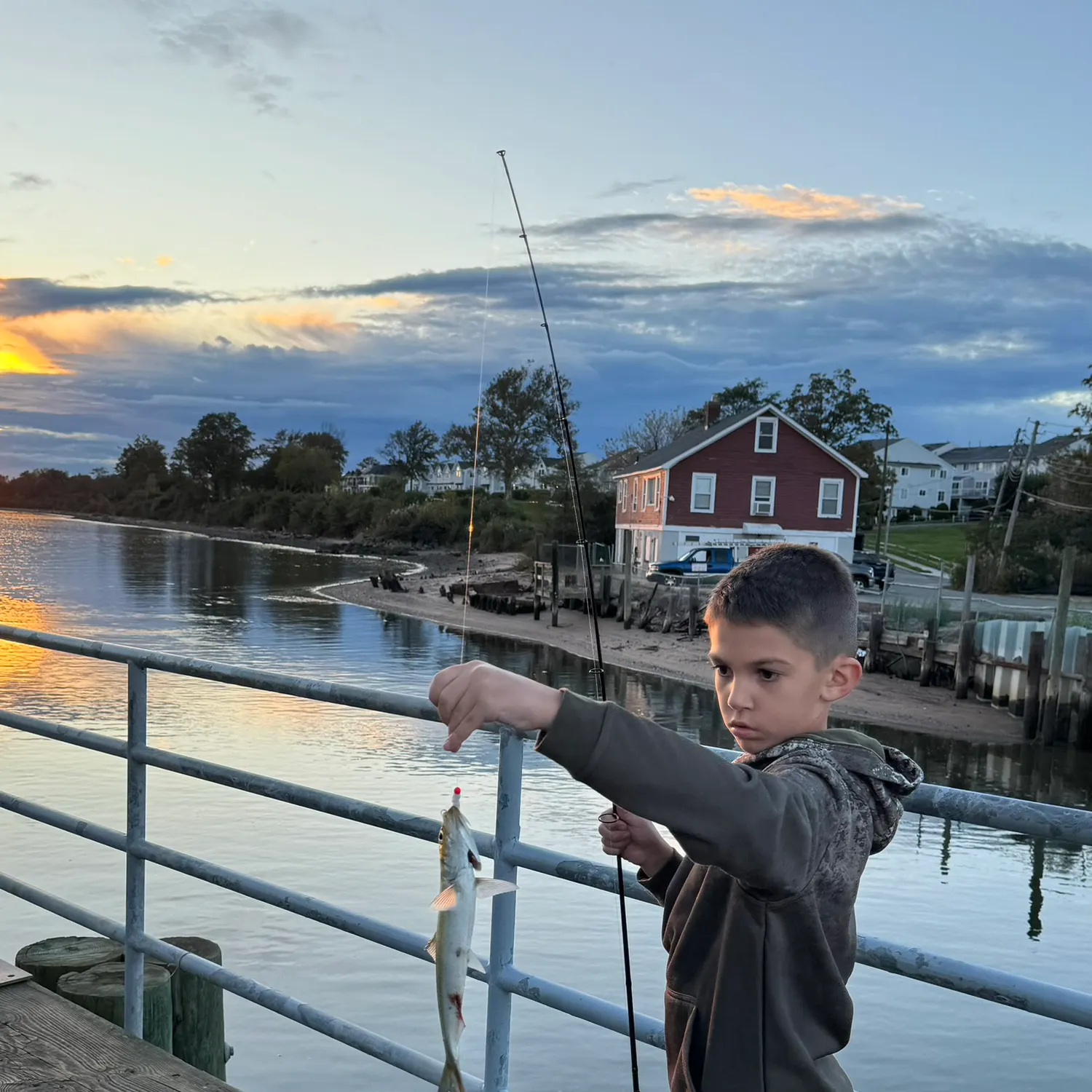 Fish caught on Fishbrain