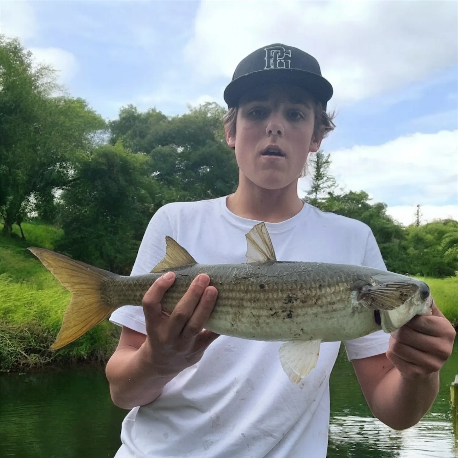 catch