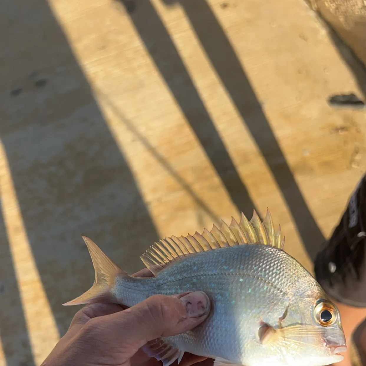 most liked catch image