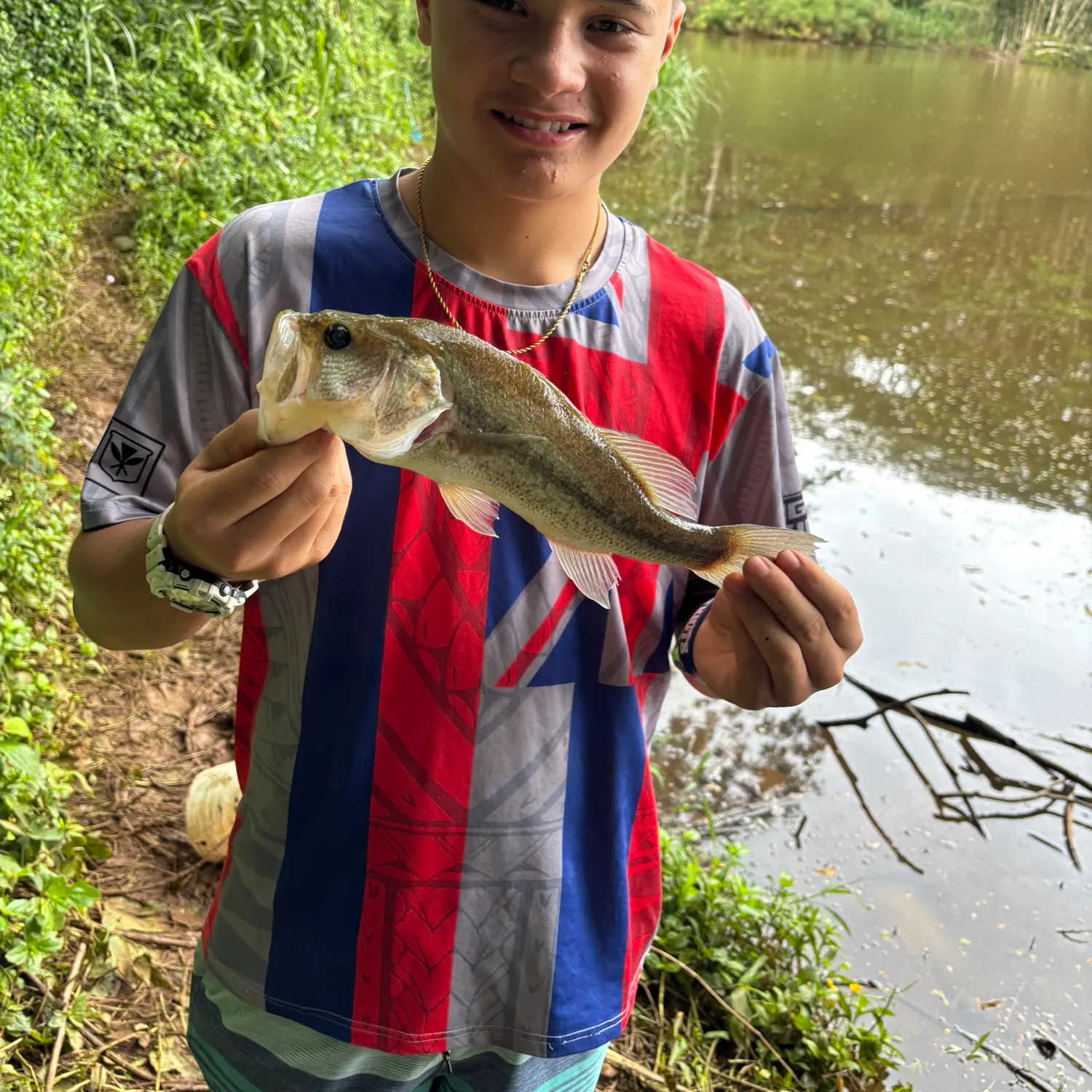 Largemouth bass caught on Fishbrain