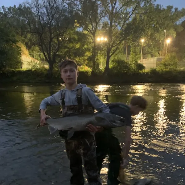 Chinook salmon caught on Fishbrain