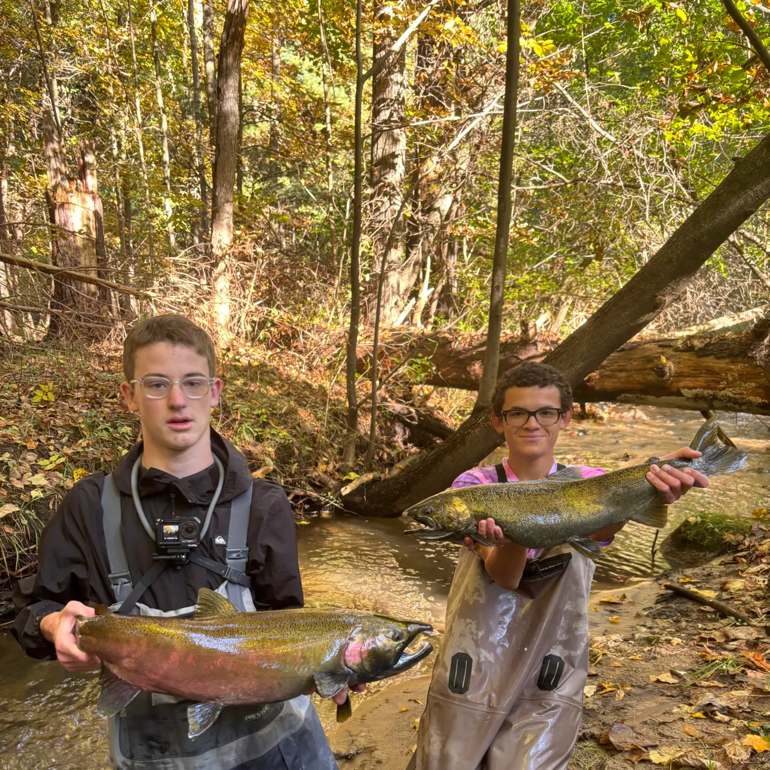 Coho salmon caught on Fishbrain