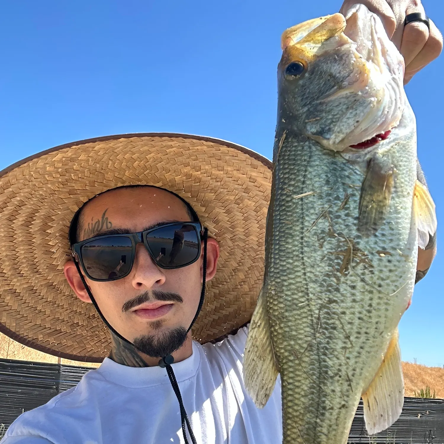 angler catch