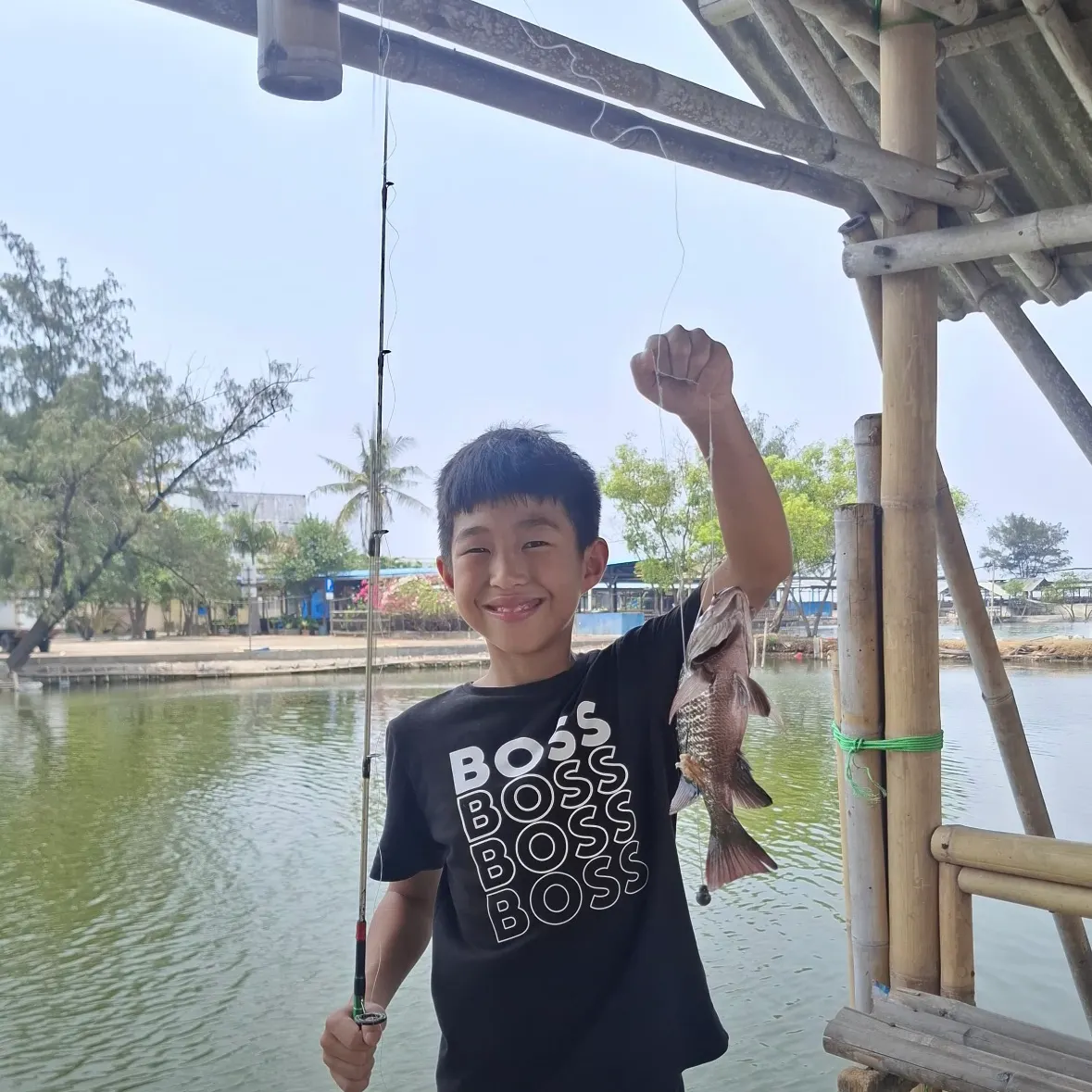Mangrove red snapper caught on Fishbrain