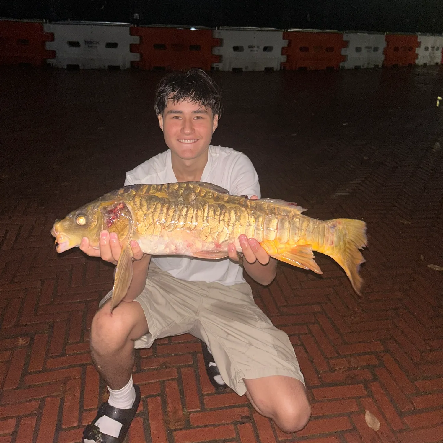 Mirror carp caught on Fishbrain