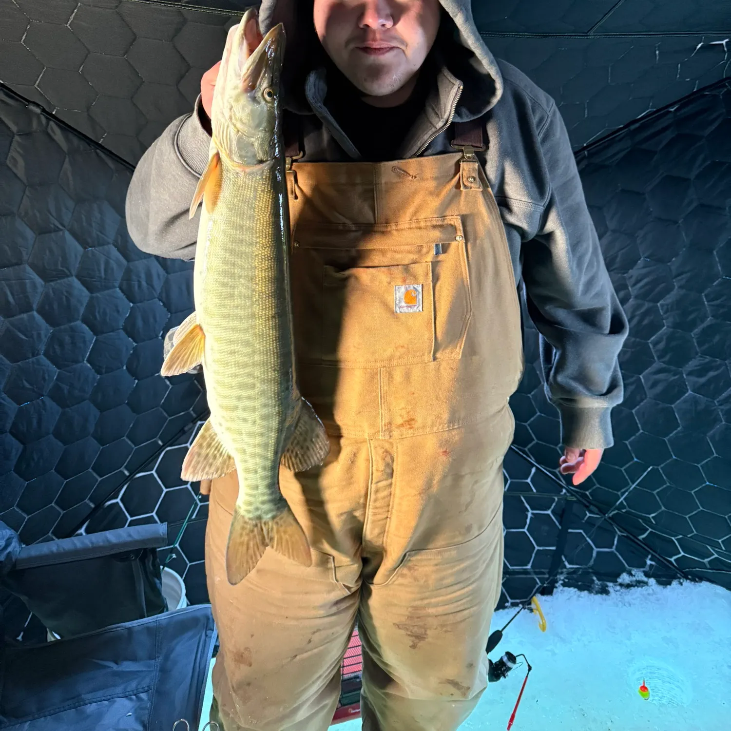 The most recent Muskellunge catches on Fishbrain