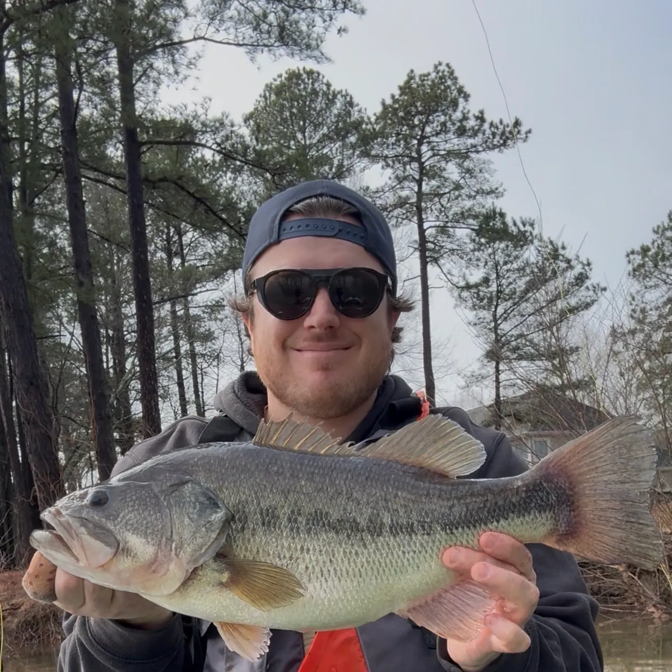 The most recent Largemouth bass catches on Fishbrain