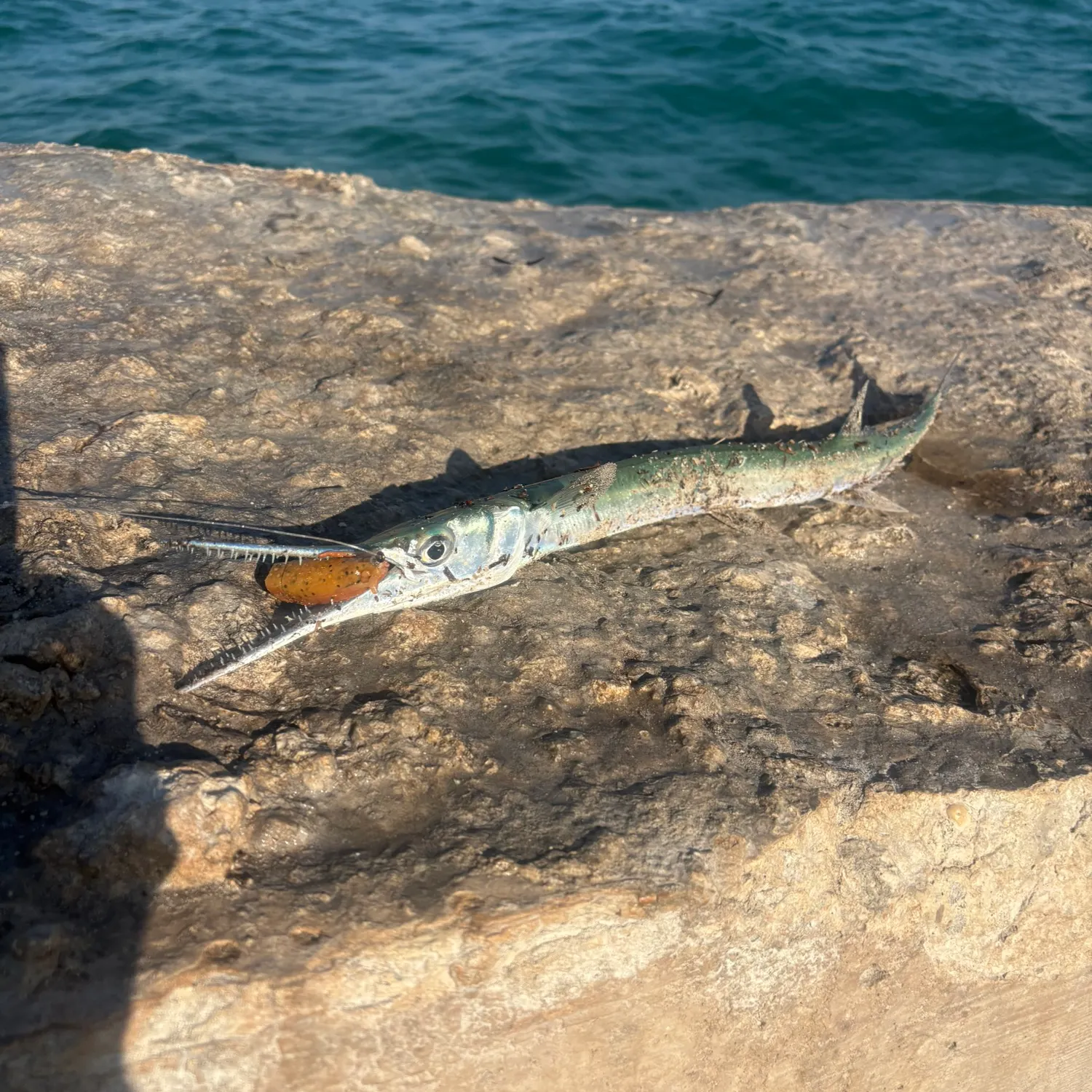 most liked catch image