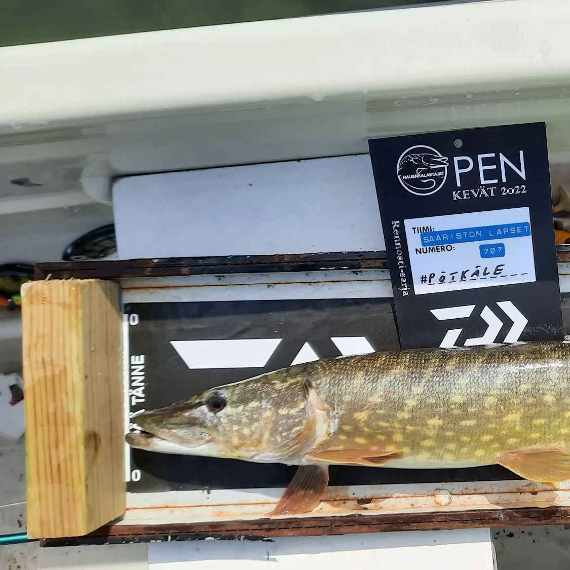 recently logged catches