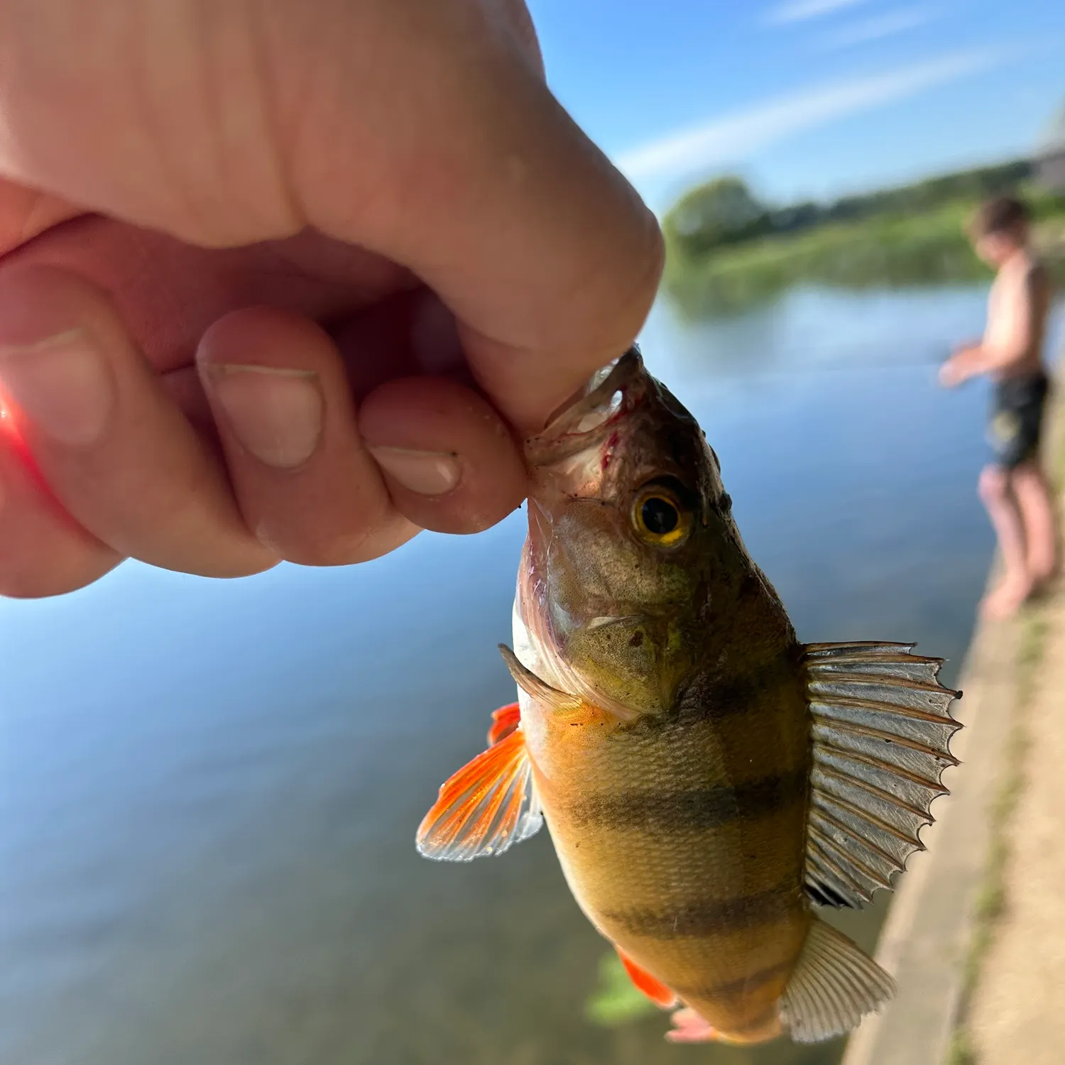 catch