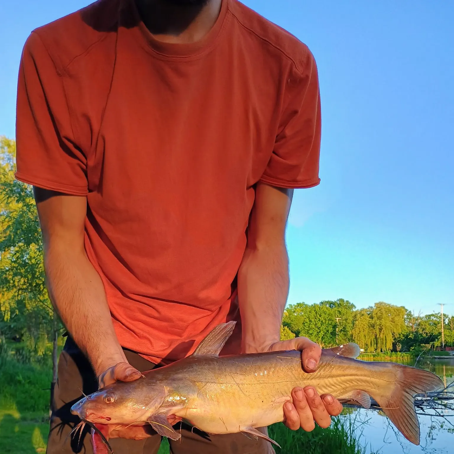 catch