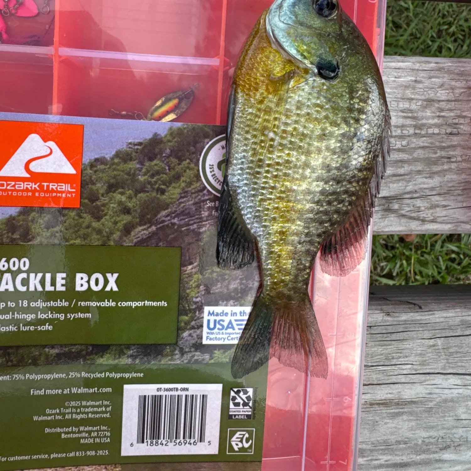 recently logged catches