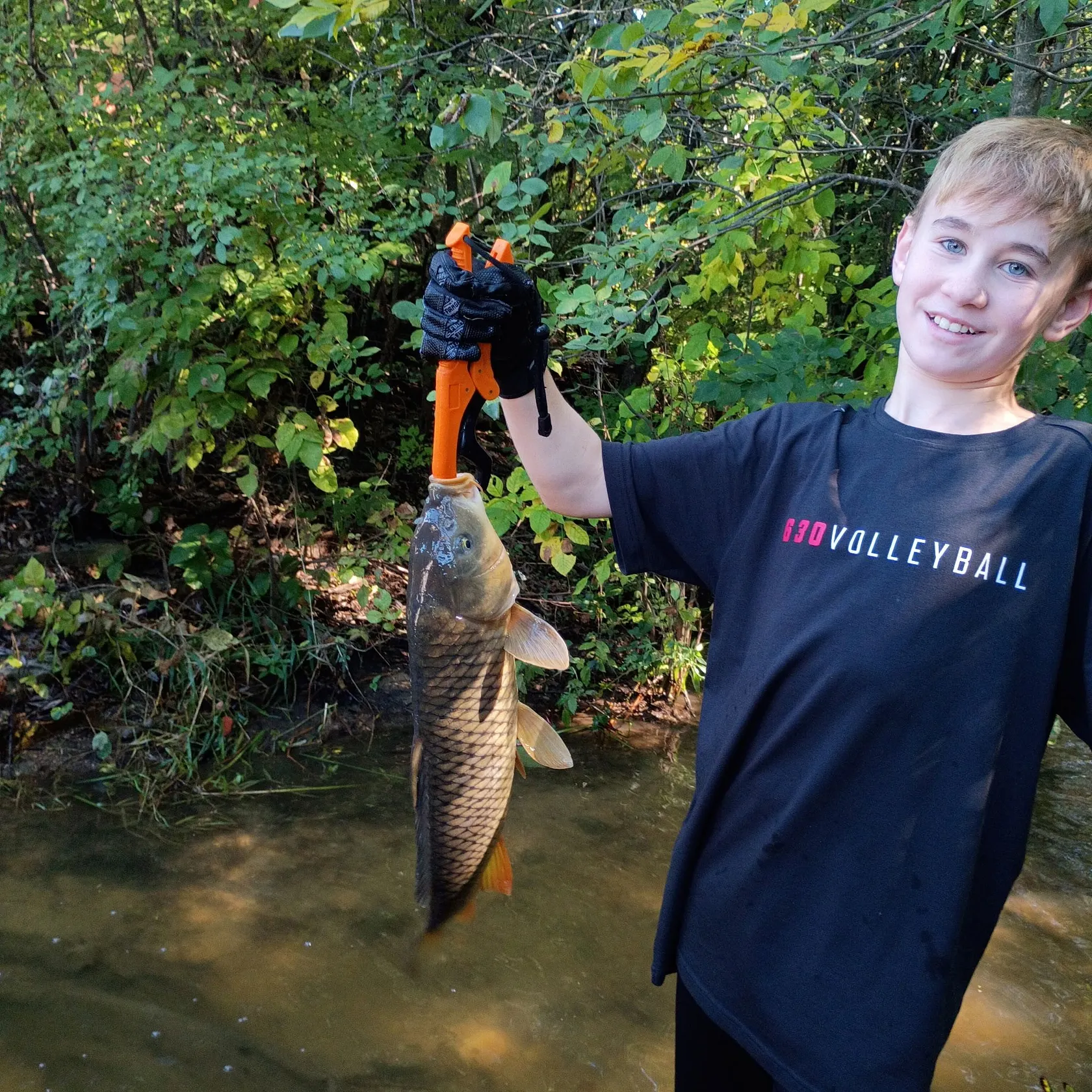 Common carp caught on Fishbrain