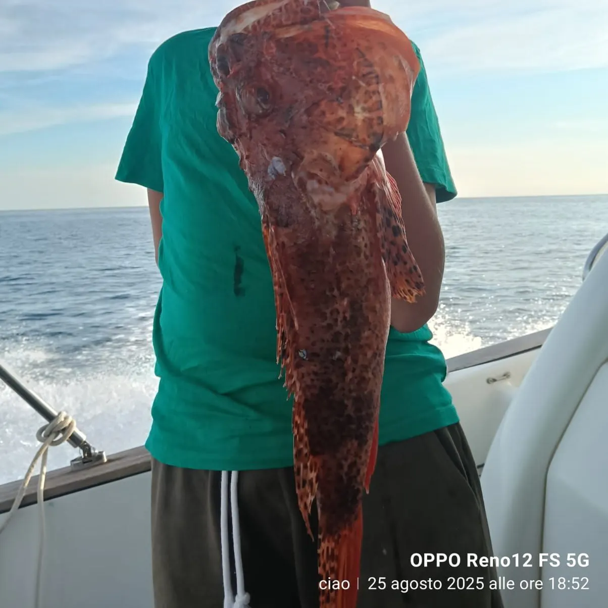 recently logged catches