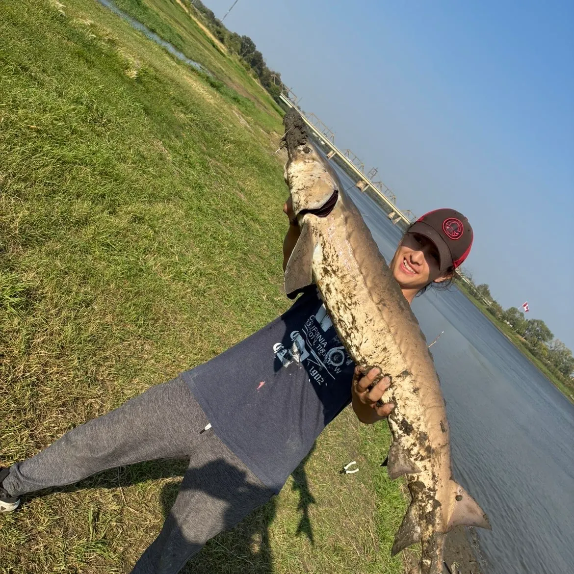 Lake sturgeon caught on Fishbrain