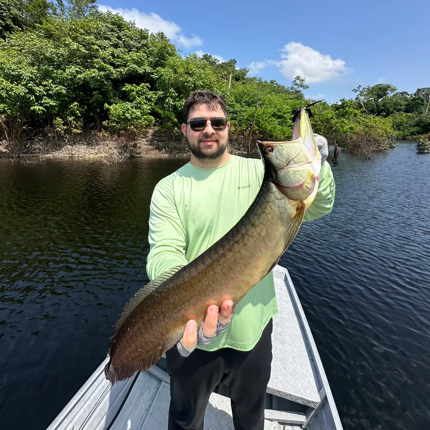 The most recent Silver arowana catches on Fishbrain