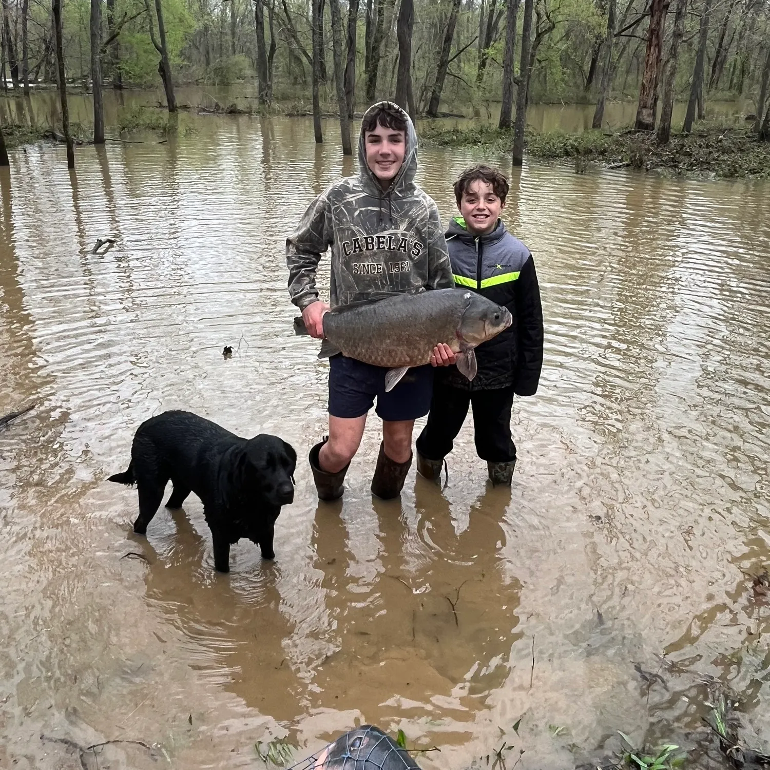 The most recent Black buffalo catches on Fishbrain