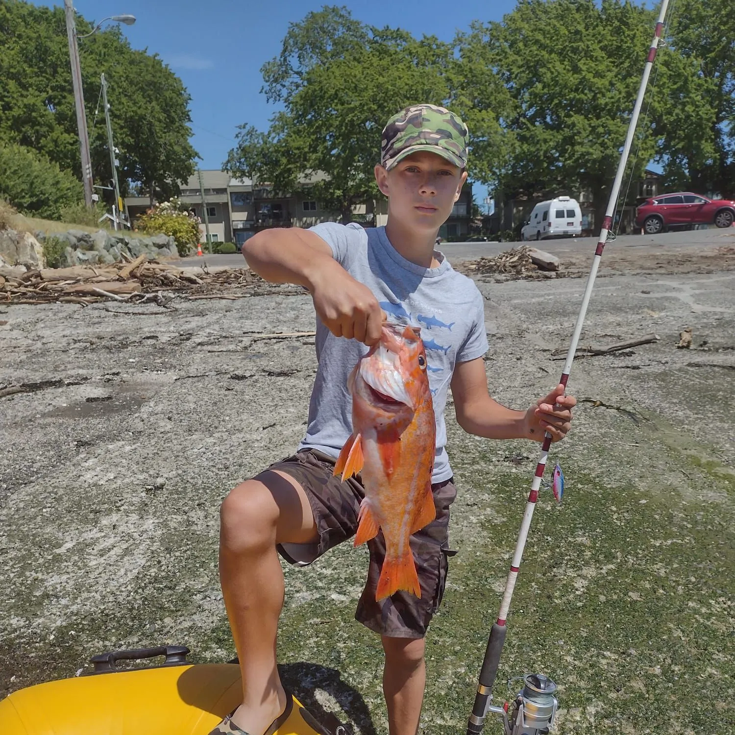 The most recent Canary rockfish catches on Fishbrain