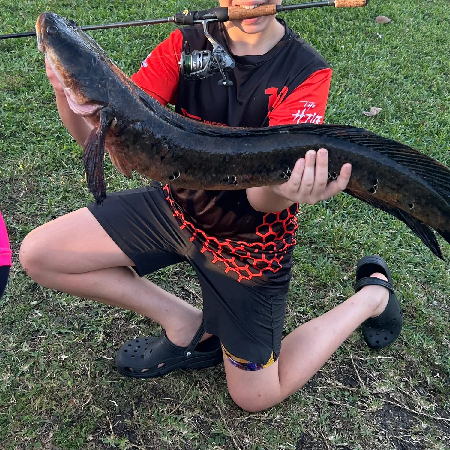 The most recent Bullseye snakehead catches on Fishbrain