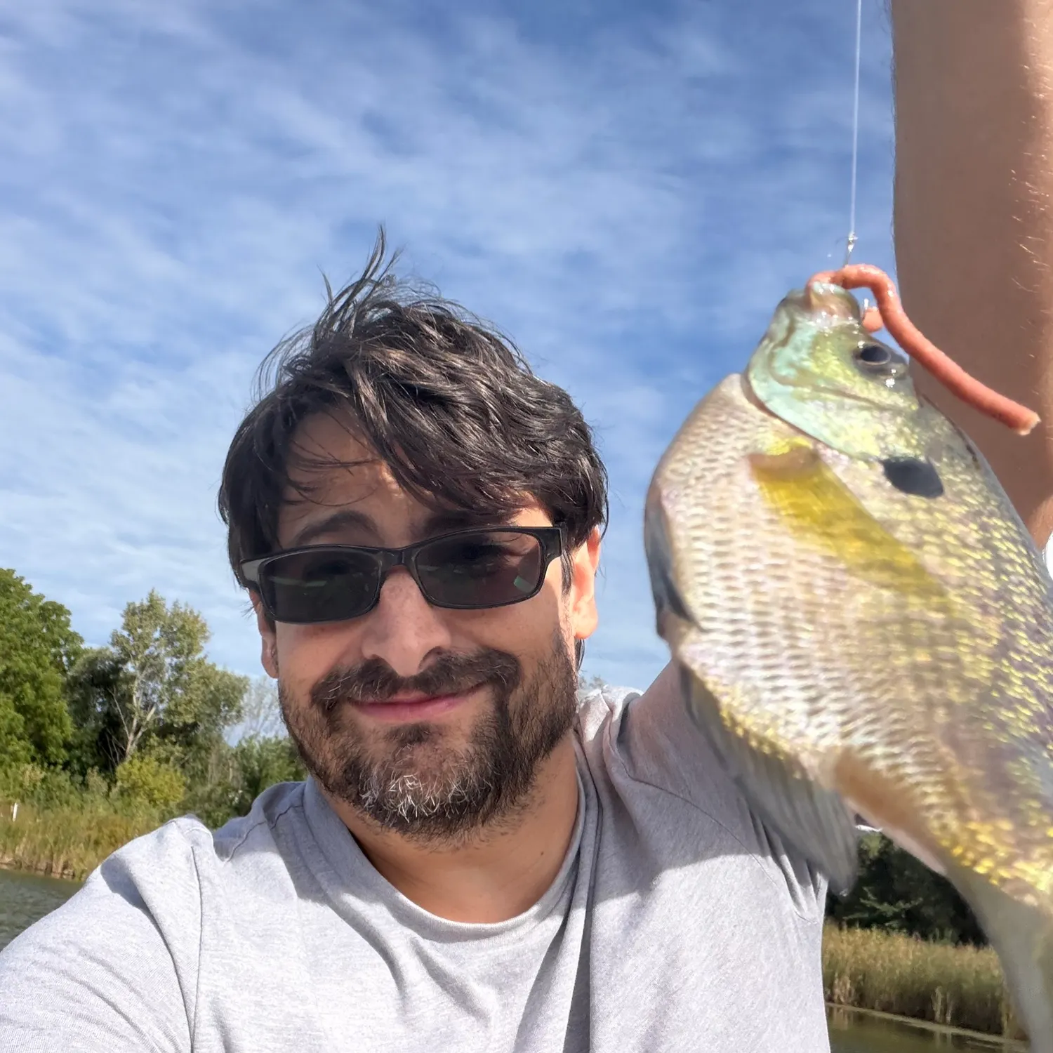 Bluegill caught on Fishbrain