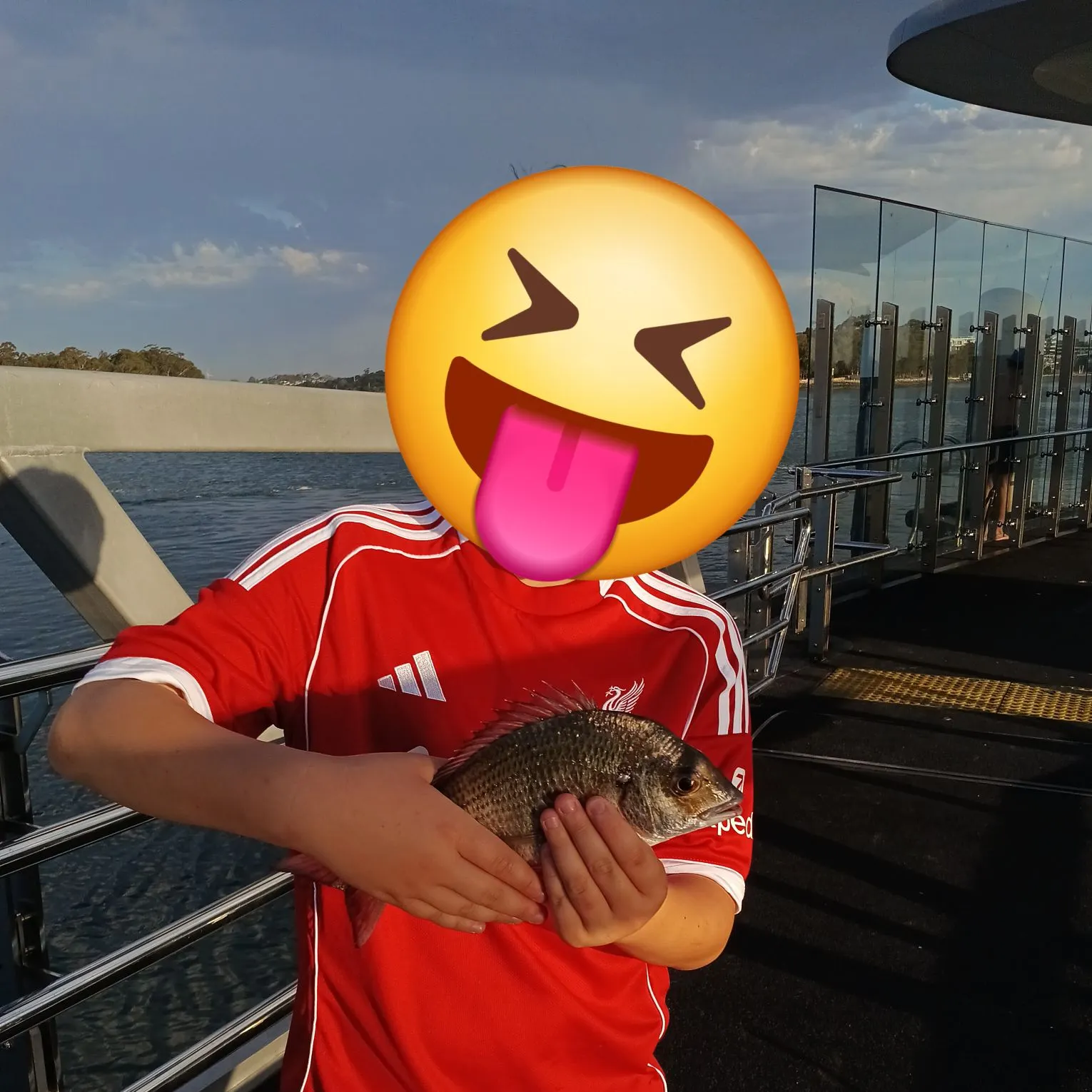 Southern black bream caught on Fishbrain