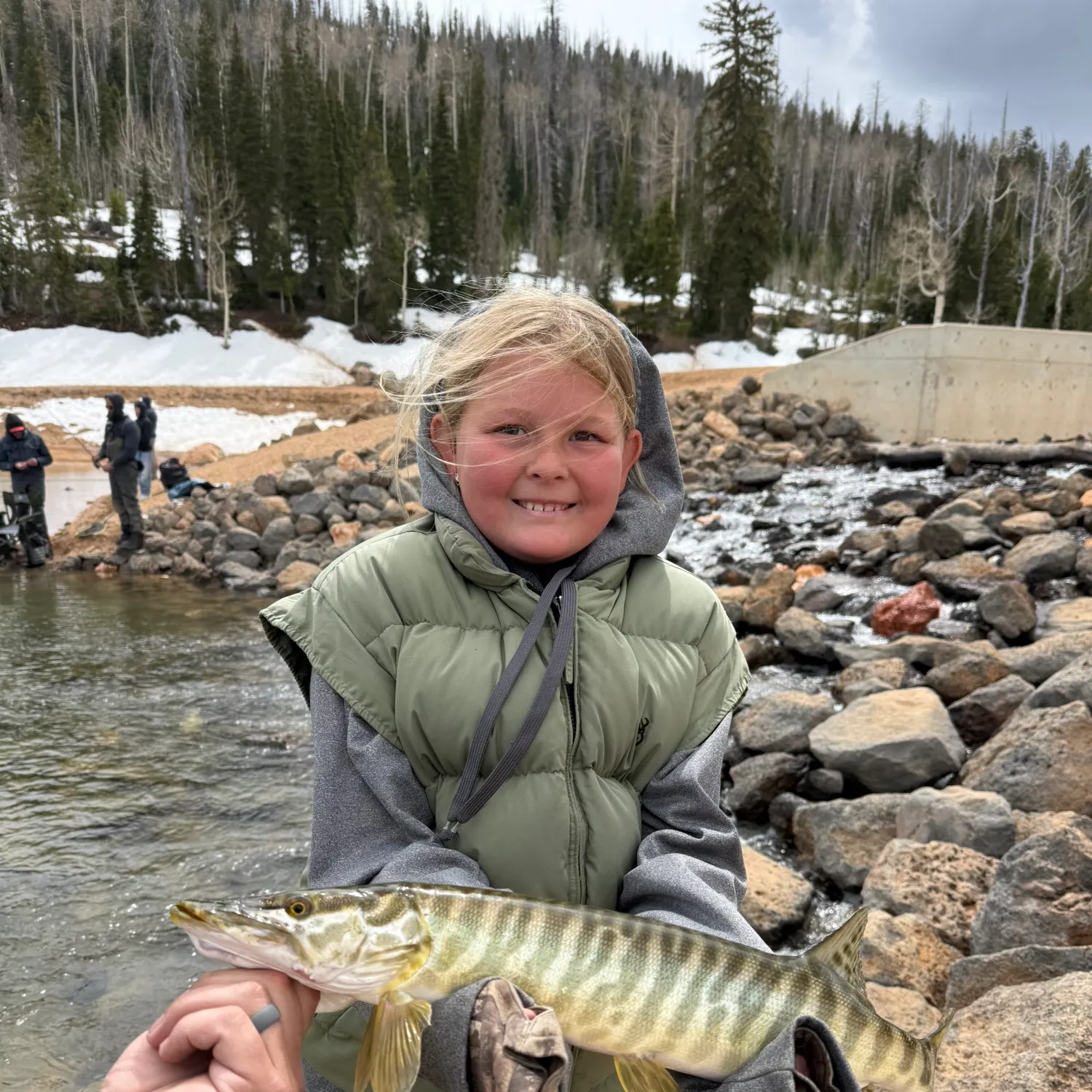 The most recent Tiger muskellunge catches on Fishbrain