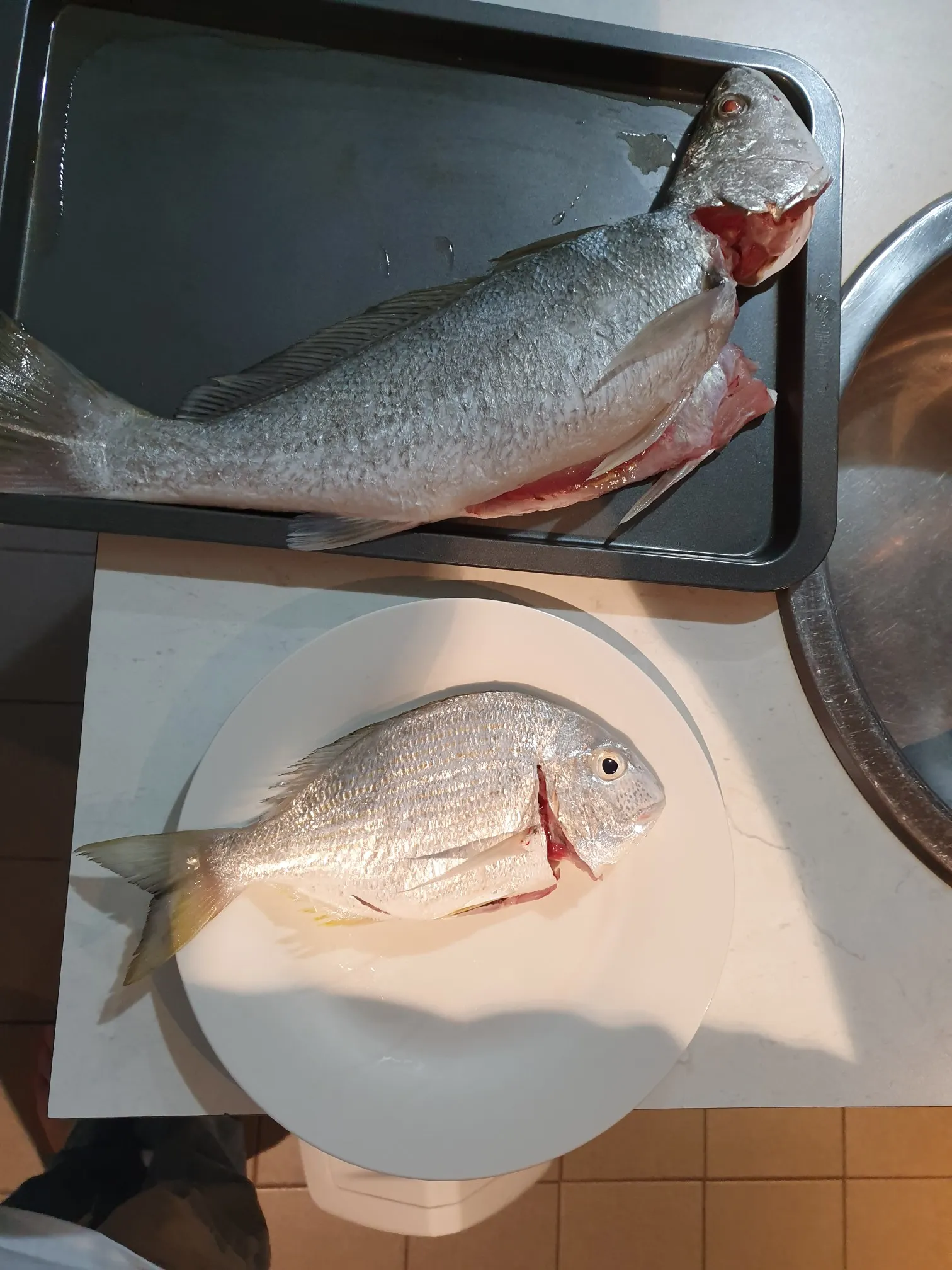 Post image from jaisleep