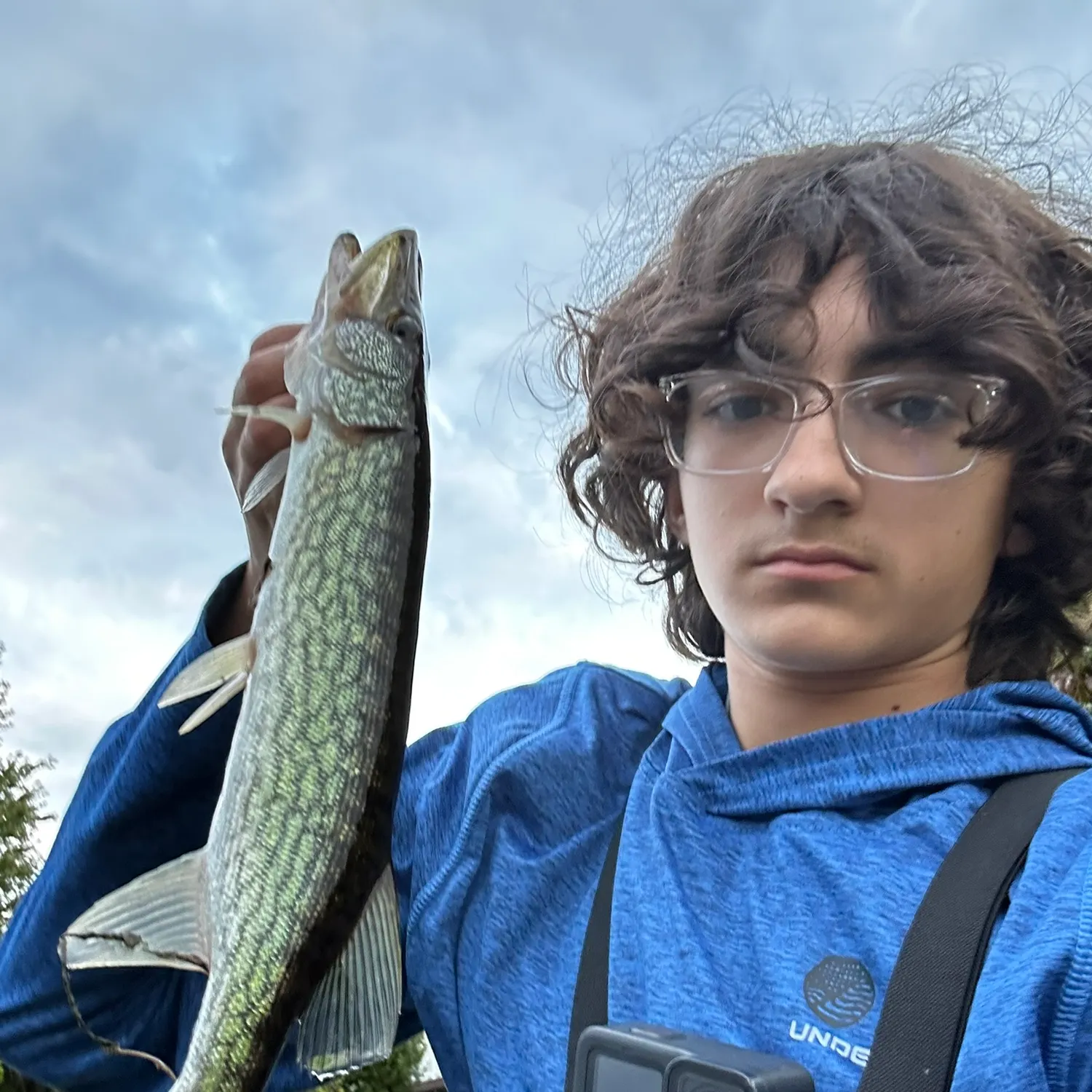 Chain pickerel caught on Fishbrain