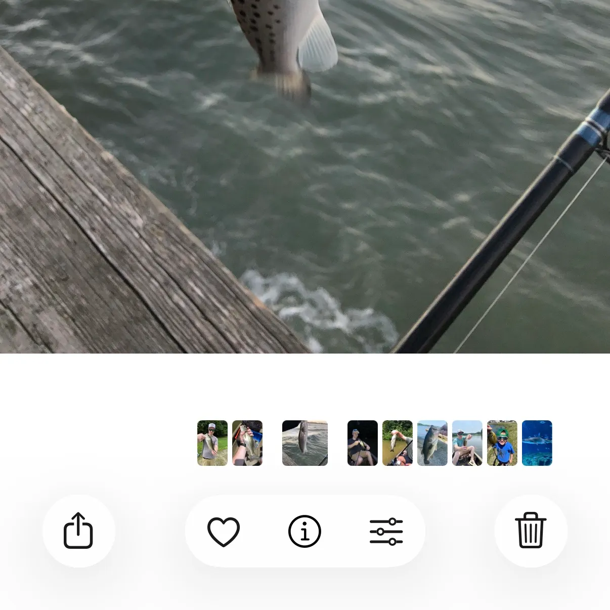 recently logged catches