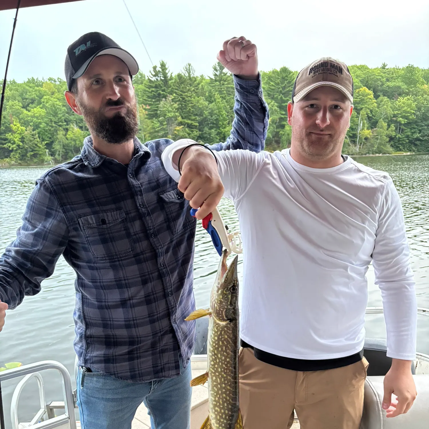 Northern pike caught on Fishbrain