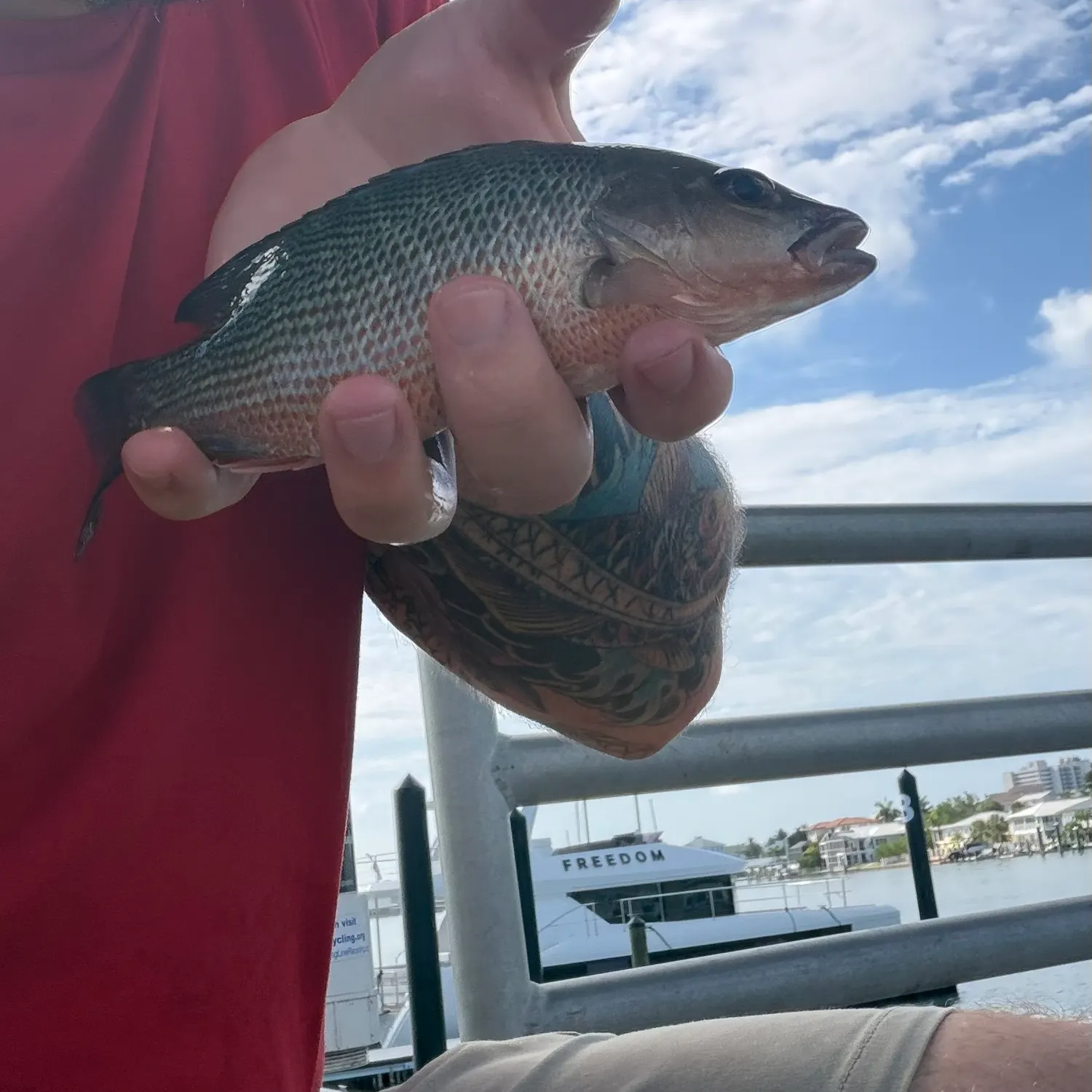 catch