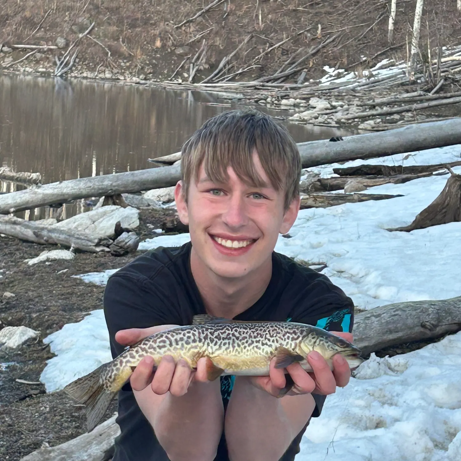 The most recent Tiger trout catches on Fishbrain