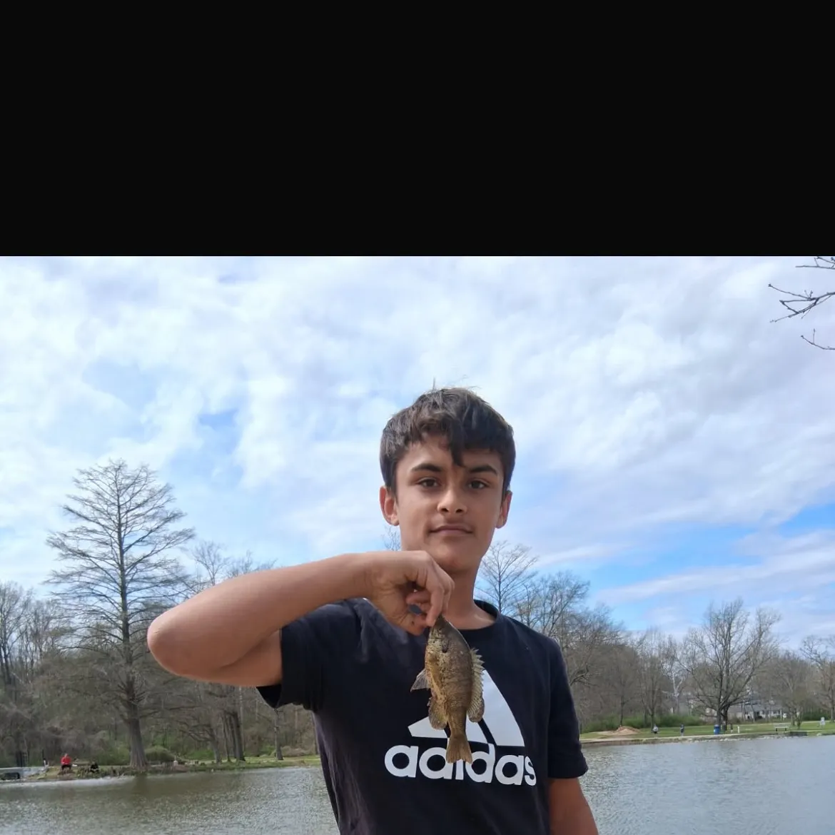 The most recent Bluegill catches on Fishbrain