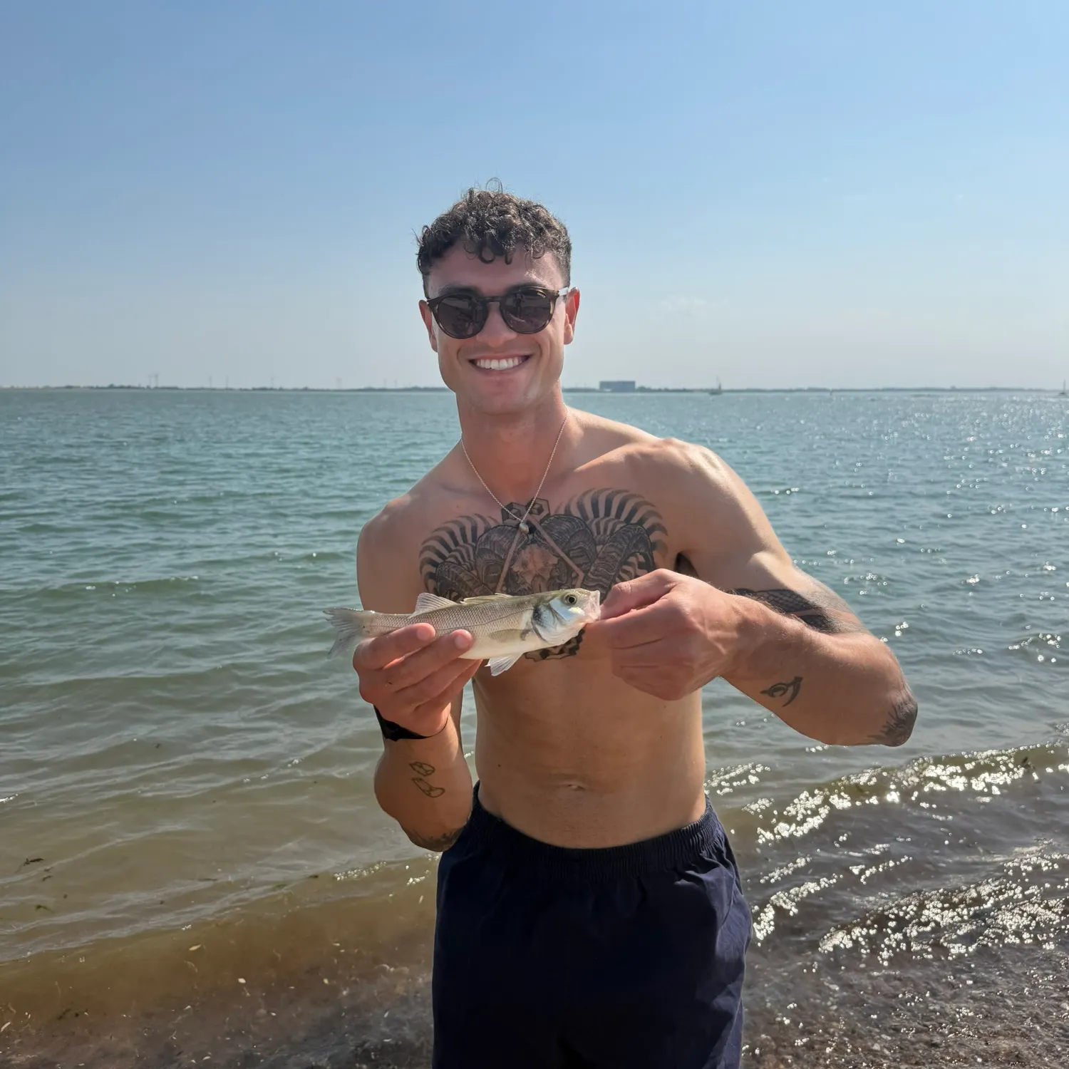 European seabass caught on Fishbrain