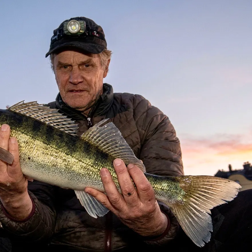 Zander caught on Fishbrain