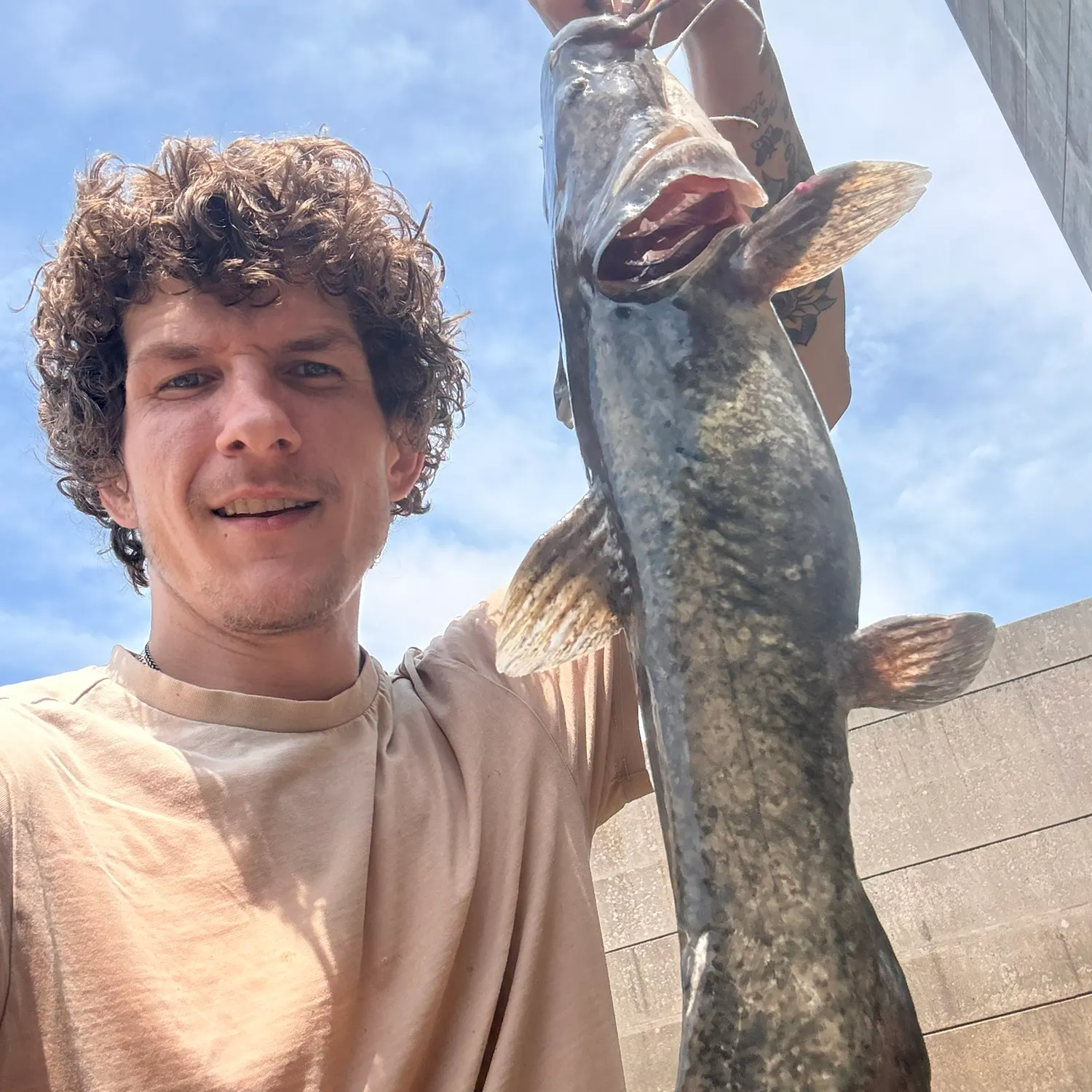 The most recent Brown bullhead catches on Fishbrain