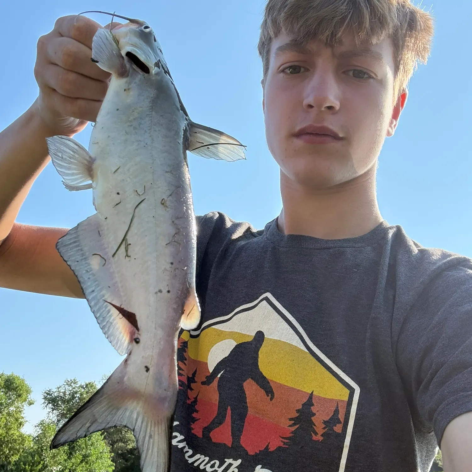 Channel catfish caught on Fishbrain