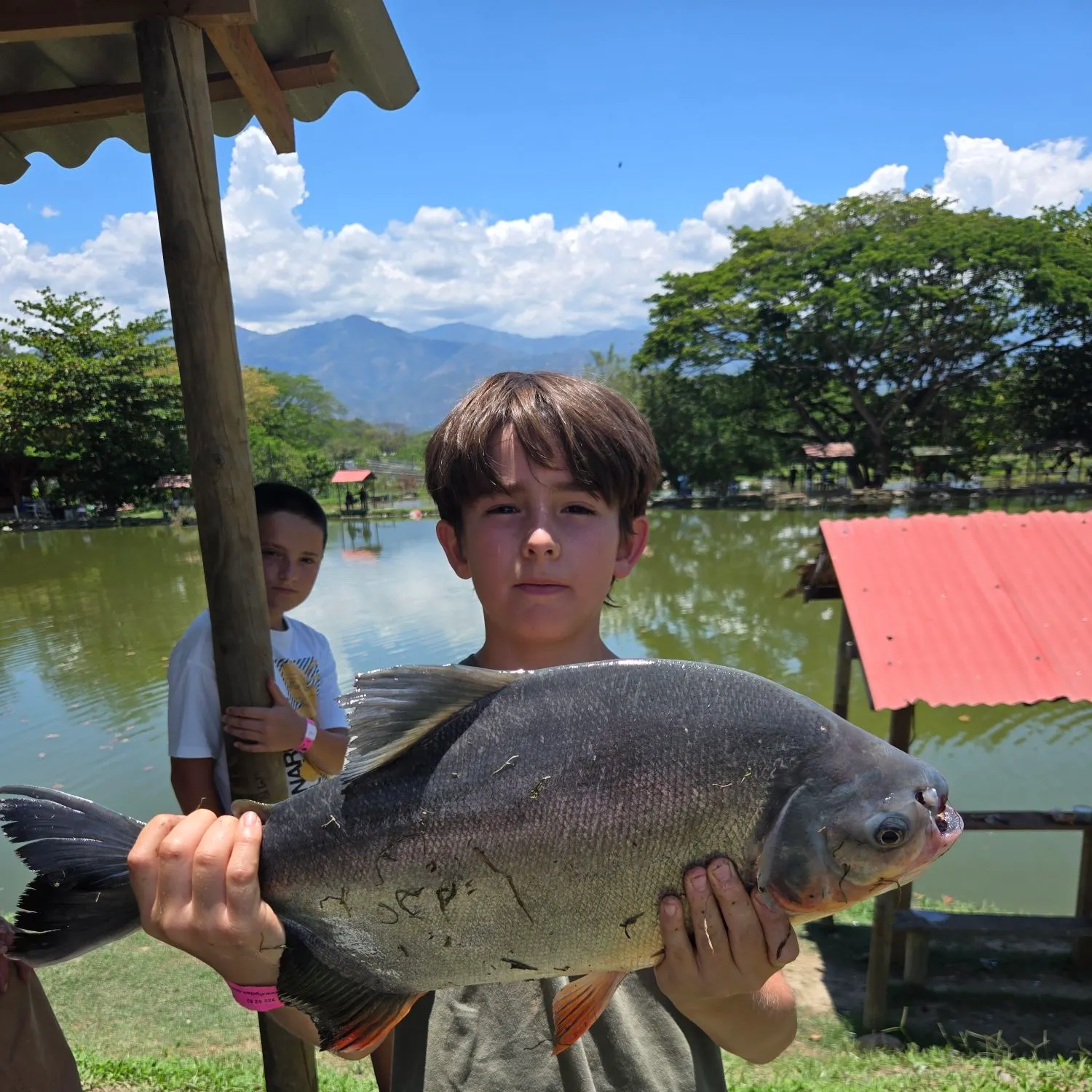The most recent Black pacu catches on Fishbrain