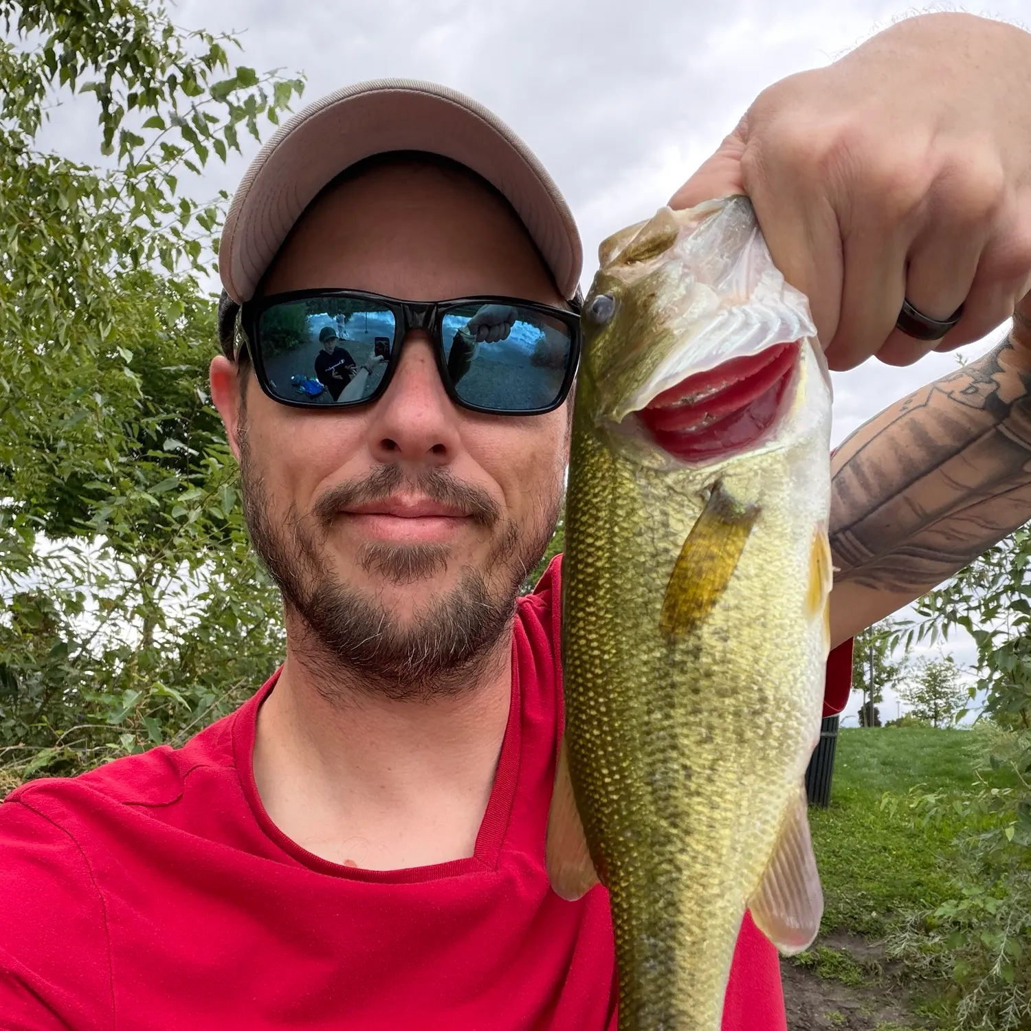 Largemouth bass caught on Fishbrain