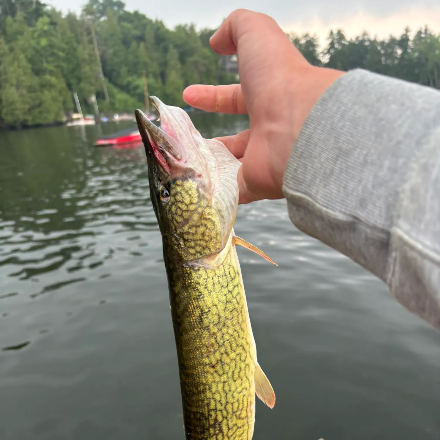 catch